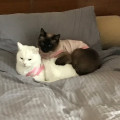 K7*****_썸네일
