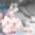 pl*****_썸네일