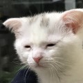 손호*****_썸네일