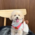 Ma*****_썸네일