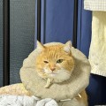보름*****_썸네일