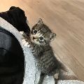 마틴*****_썸네일