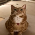 깐******_썸네일