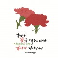 그레이스송 프로필