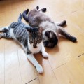 am*****_썸네일