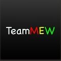 TeamMEW 프로필
