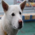 버스*****_썸네일