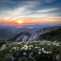 십자*****_썸네일