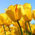 한바*****_썸네일