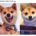 K2*****_썸네일