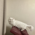 계란*****_썸네일