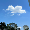 플로*****_썸네일