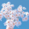 낙천*****_썸네일