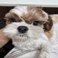 Kw*****_썸네일