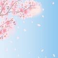 당돌*****_썸네일