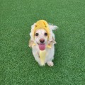 효******_썸네일