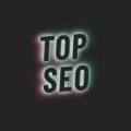 TOPSEO 프로필