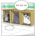 Ni*****_썸네일
