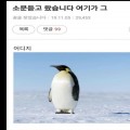 KY*****_썸네일