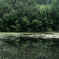 유원*****_썸네일