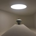 사라*****_썸네일