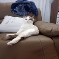 건실*****_썸네일