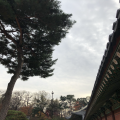 카카*****_썸네일