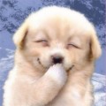 보고*****_썸네일