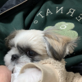찬******_썸네일
