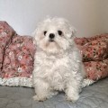 메리*****_썸네일