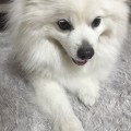 띠띠*****_썸네일