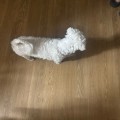 마음*****_썸네일