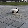 달려*****_썸네일