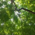 Kq*****_썸네일