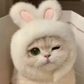 딸기*****_썸네일