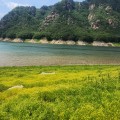 KA*****_썸네일
