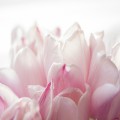아름*****_썸네일