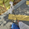 co*****_썸네일