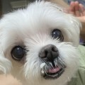 유미*****_썸네일