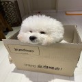 도움*****_썸네일