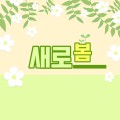 새로봄쌤 프로필