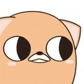 폼폼포 프로필