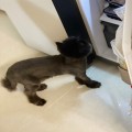 YO*****_썸네일