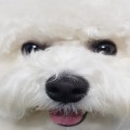 잭******_썸네일