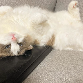 강인*****_썸네일