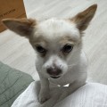 지멍*****_썸네일