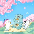 크로시디자인 프로필