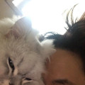 K5*****_썸네일