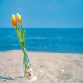 채용*****_썸네일