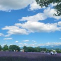 국세*****_썸네일